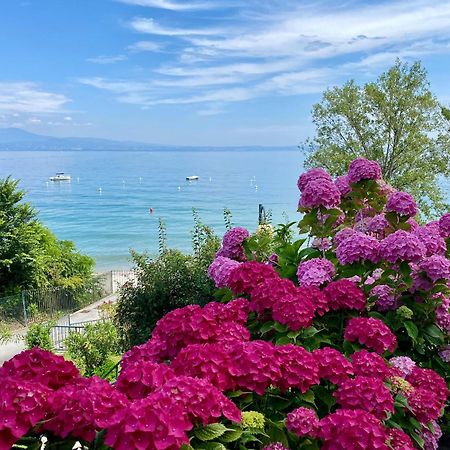 Front Lake Amazing View Manerba del Garda Ngoại thất bức ảnh