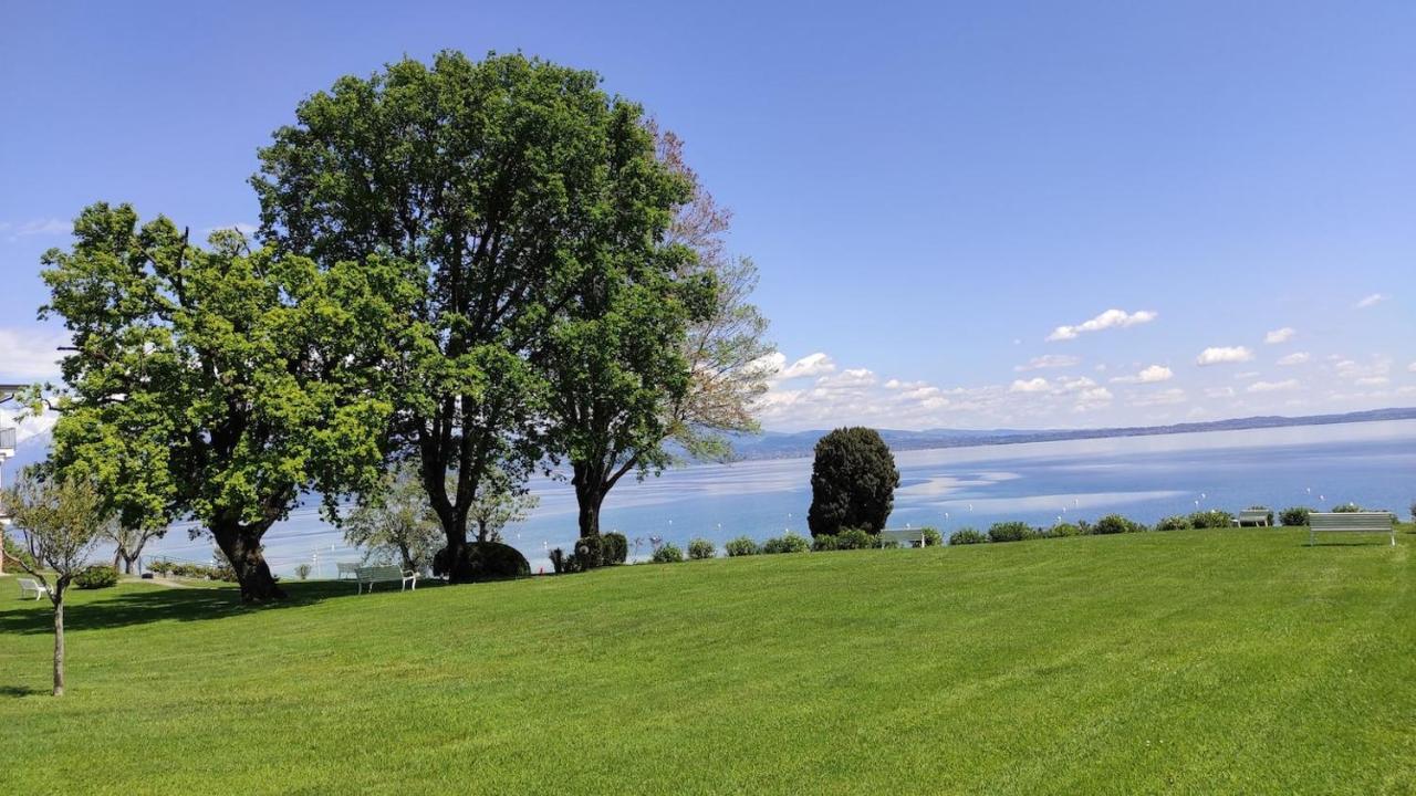 Front Lake Amazing View Manerba del Garda Ngoại thất bức ảnh