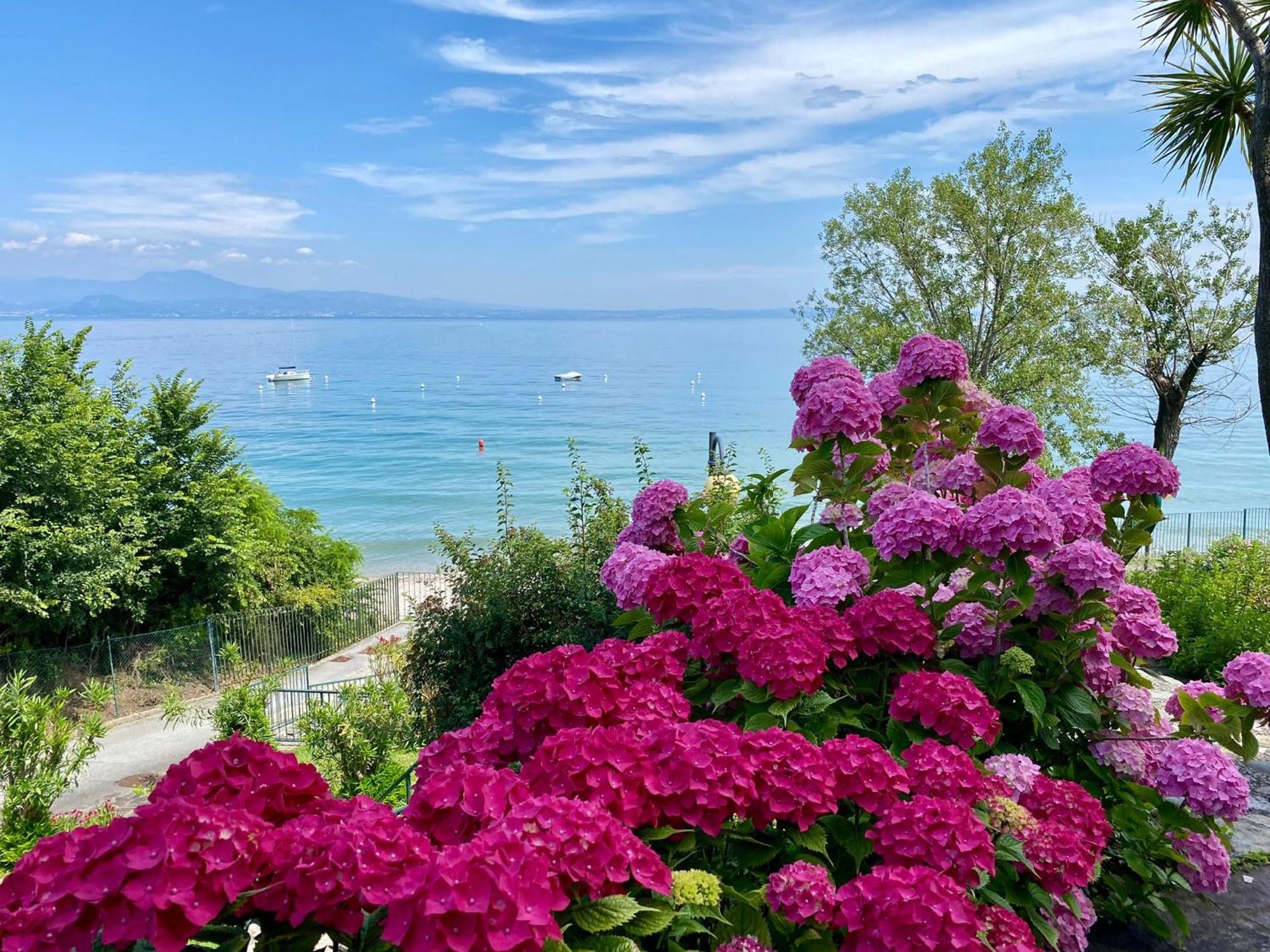 Front Lake Amazing View Manerba del Garda Ngoại thất bức ảnh